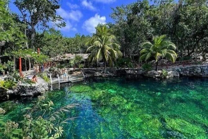 Cenotes Casa Tortuga: 4 Cenotes Day Pass - Your Cenote Route: Open, Semi-Open, Caves, and Fish Time