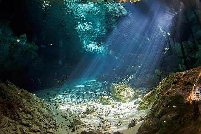 Cenotes diving - Chac Mool and Kukulkan: Curtains of Light and Jungle Underwater Views