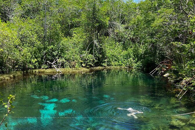 Cenotes Private Tour ( Two Eyes, Jaguar & Nicte-Ha ) - What’s Included (and What You’ll Need to Plan for)