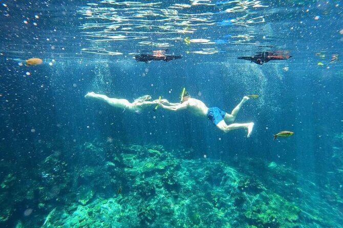 Cenotes Sacactum, Private tour. - Pickup, Timing, and Getting There Without Stress