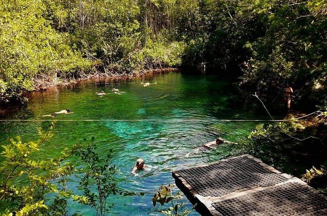 Cenotes Sacactum, Private tour. - Price and Value at $208.97 per Person