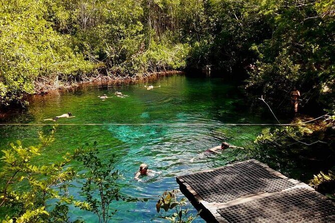 Cenotes Sacactum, Private tour. - Who This Private Snorkel Tour Suits Best