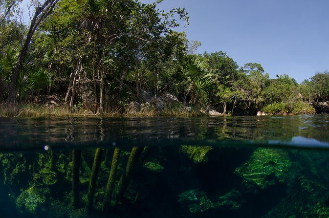 Cenotes snorkeling excursion - The guide experience: helpful, organized, and human