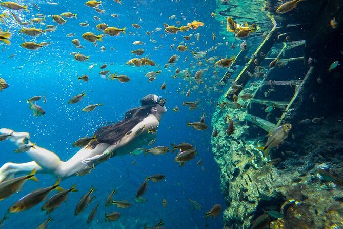 Cenotes Tour: Discover Hidden Gems, from Playa del Carmen - Who This Tour Fits Best (And Who Might Want Another Plan)