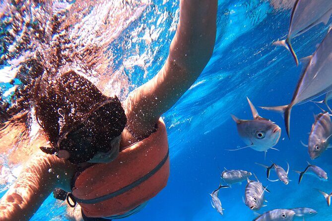 Chankanaab Park Admission +Snorkeling + Lunch included - The 2–3 hour plan: From park loungers to the reef barrier