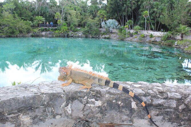 Chankanaab Park Admission +Snorkeling + Lunch included - Adventure Beach Park time: Loungers, lockers, and Mayan replica access