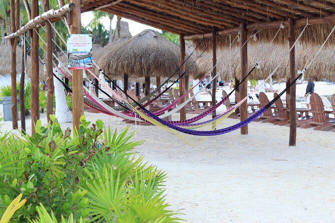 Chankanaab Park Admission +Snorkeling + Lunch included - Parque Nacional Arrecifes de Cozumel zones: Short hops inside the reserve