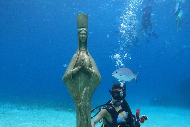 Chankanaab Park Admission +Snorkeling + Lunch included - Price and value: What the $59 really buys you (plus one extra fee)