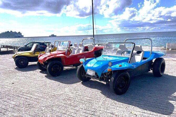 Chankanaab Park and Island Tour by Buggy with Mexican Lunch - Price and Value: What You’re Really Paying For