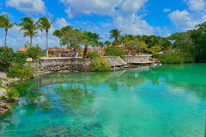 Chankanab Park Admission +Open bar +Lunch included +Snorkeling - The Snorkeling Plan: Reef Stops, Sculptures, and Short On-Water Time