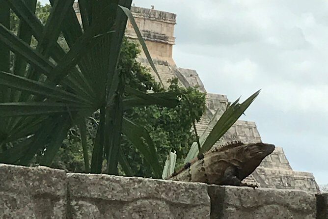 Chichen Itza Private experience - Cenote Selva Maya: The Included Lunch and the Water Break