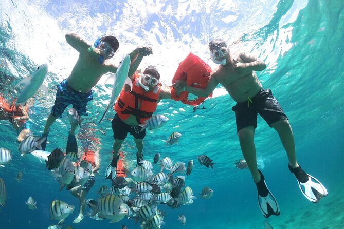 Clear Boat and Island Tour by Buggy with Mayan Experience - Clear-Bottom Snorkeling Around Cozumel’s Reef Life