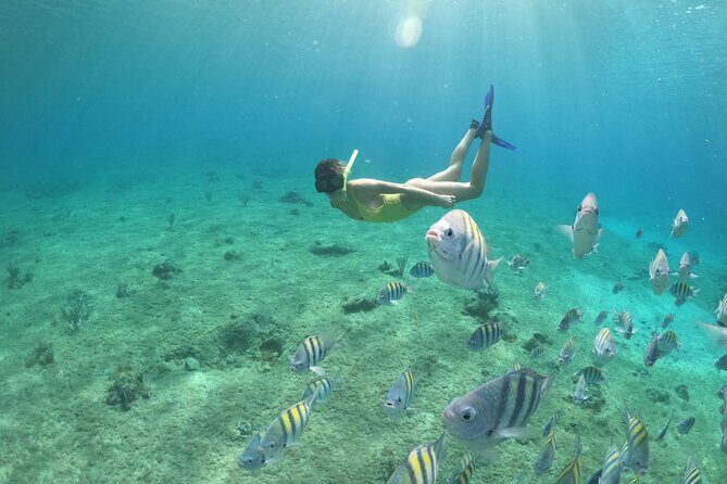 Clear Boat & Snorkel Cozumel Tour with Drinks - Guides, drinks, and safety on a max-15 boat
