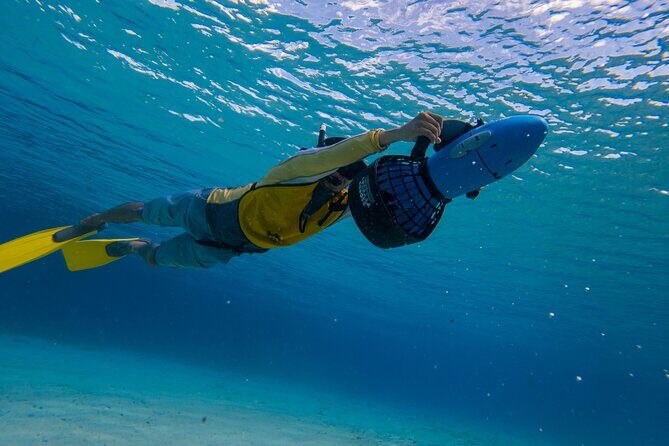 Clear Kayaking, Sea Scooters Adventure - Getting the best sightings: The guide’s role in where you go