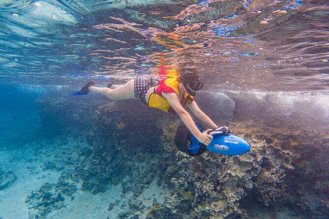 Clear Kayaking, Sea Scooters Adventure - Who this tour suits best (and who should think twice)