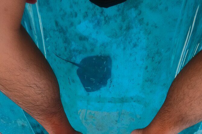 Clear Kayaking, Sea Scooters Adventure - Value check: Is $79 worth it in Cozumel?