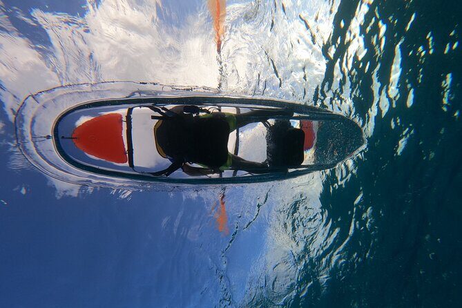 Clear Kayaking, Sea Scooters Adventure - Clear kayaking in Cozumel: Watching fish through the floor