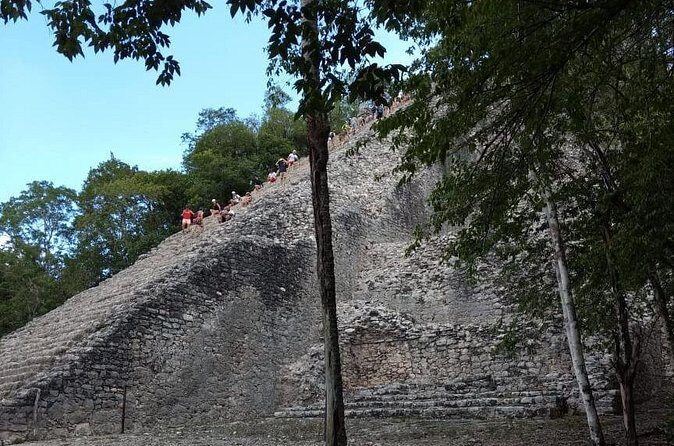 Coba Cenote and Maya Village Private Guided Tour - Guide quality matters more than you think