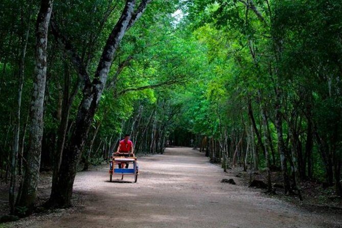 Coba Mayan Ruins and Cenote Cultural Full-Day Tour from Riviera Maya - What’s Included (and What’s Not): The Value Math That Actually Helps