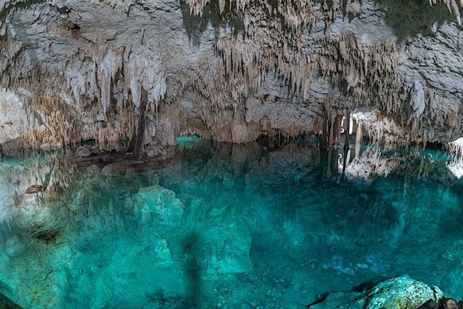 Coba Private Tour – Ancient Ruins & Refreshing Cenote Swim - Getting to Coba smoothly from Playa del Carmen or Tulum