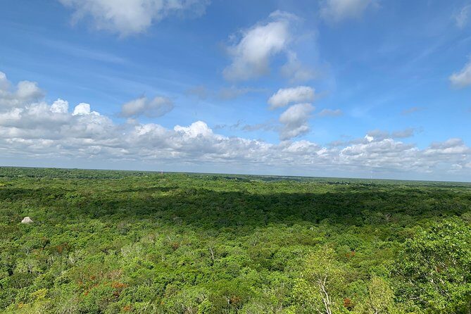 Coba Ruins and Punta Laguna Monkey Reserve Day Tour from Tulum - Swim time, artisan souvenirs, and finishing back in Tulum