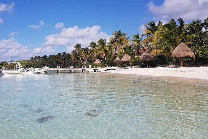 Contoy Island - From Playa del Carmen to Contoy: the practical rhythm of the day