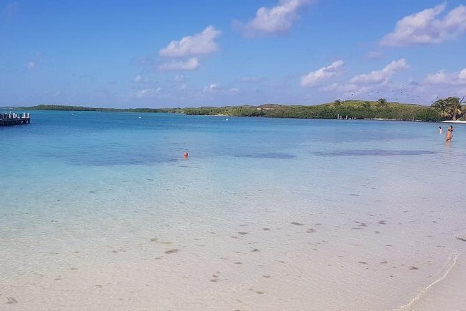Contoy Island - Group size, energy, and guide explanations that matter