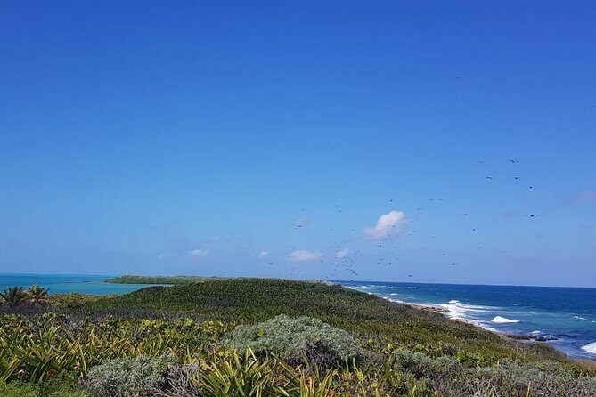 Contoy Island - Best fit: who this tour suits (and who should think twice)