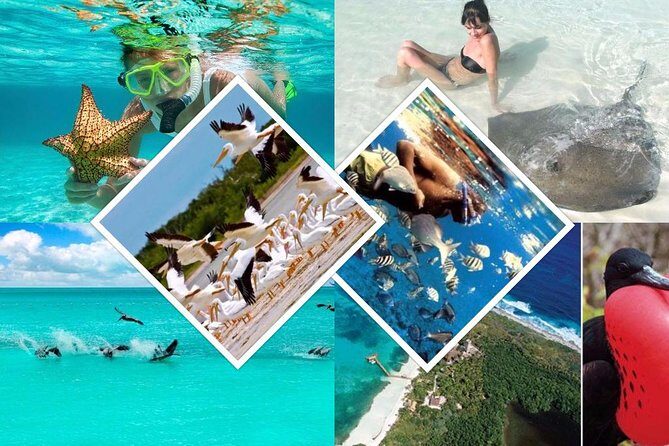 Contoy Island - Isla Contoy National Park: why the wildlife feels different here