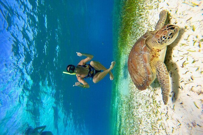 Cozumel 4 Hour Boat Sky Tour - The El Cielito sand bank finish (waist-deep and pure sand)