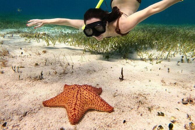 Cozumel 4 Hour Boat Sky Tour - Price, fees, and what value really looks like