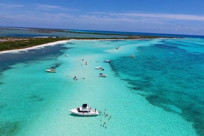 Cozumel 4 Hour Boat Sky Tour - Palancar Reef snorkeling between 6 and 7 meters