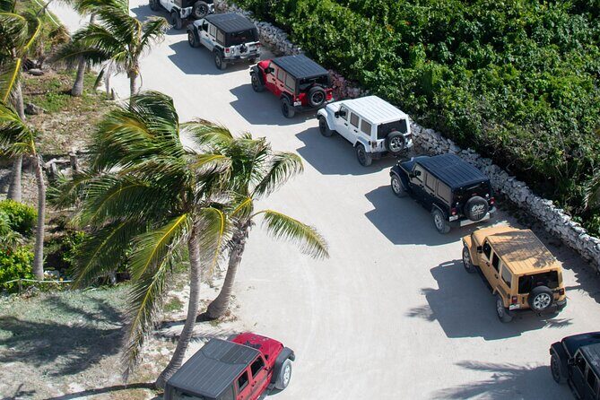 Cozumel 4x4 Adventure Punta Sur and Virgin Beach All Inclusive - How guides can shape your day: Marco, Gizmo, Reyes, Javier, Julio