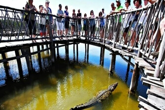 Cozumel 4x4 Adventure Punta Sur and Virgin Beach All Inclusive - Punta Sur Eco Beach Park: crocodiles, lighthouse climbs, and Mayan remnants