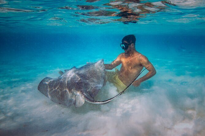 Cozumel All Inclusive: Coast & Relax 4h on 51' Leopard - A 4-hour rhythm on the water (what to expect, realistically)