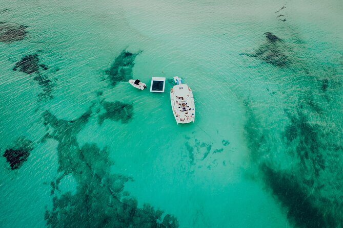 Cozumel All Inclusive: Coast & Relax 4h on 51' Leopard - Crew service you can feel: attentive, friendly, and sometimes funny