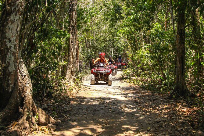 Cozumel ATV Tour & Beach Break - Guide power: how León Tours staff make the difference