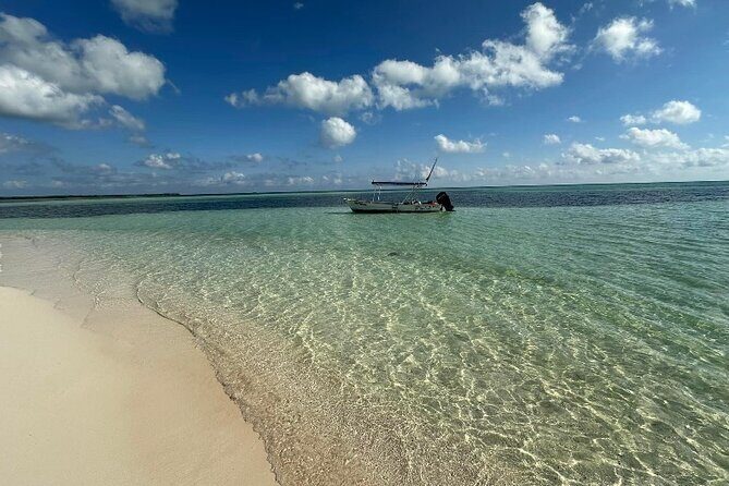 Cozumel Buggy Island Adventure Punta Sur Park &Scenic Island Tour - Punta Sur Eco Beach Park: lighthouse views, trails, and lagoon wildlife