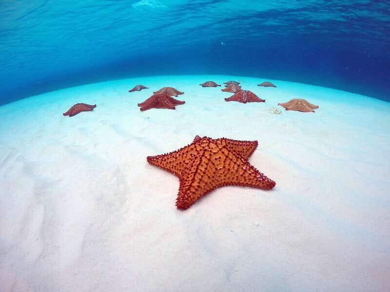 Cozumel: Catamaran, El Cielo Bay & Palancar Reef with Lunch - Key things to know before you go