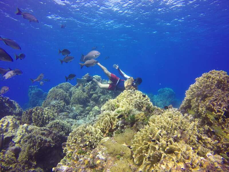 Cozumel: Catamaran, El Cielo Bay & Palancar Reef with Lunch - Practical tips that make a difference on reef days