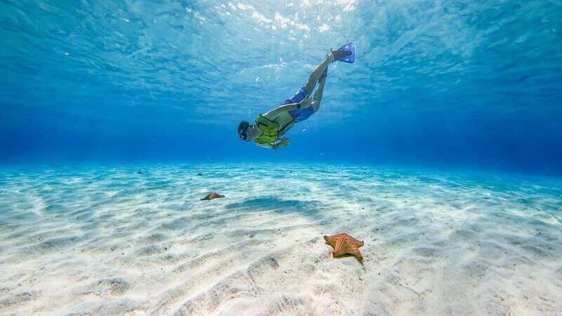 Cozumel: Catamaran, El Cielo Bay & Palancar Reef with Lunch - The catamaran ride: sun, breeze, and onboard drinks