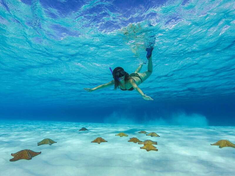 Cozumel: Catamaran, El Cielo Bay & Palancar Reef with Lunch - Palancar Reef snorkeling: coral gardens and marine life