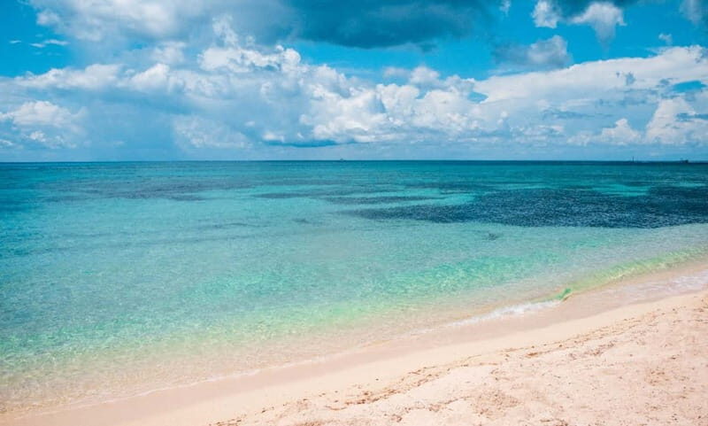 Cozumel: Catamaran, El Cielo Bay & Palancar Reef with Lunch - Lunch in downtown Cozumel: food, beer, and a cultural show