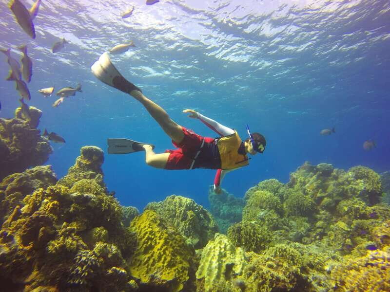 Cozumel: Catamaran, El Cielo Bay & Palancar Reef with Lunch - Meeting point and timing: Av. Rafael E. Melgar practical checklist