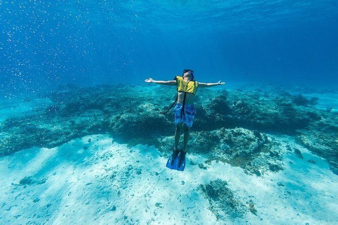 Cozumel Catamaran Snorkeling Tour & lunch - Catamaran cruising with drift snorkeling over Cozumel’s reef highlights