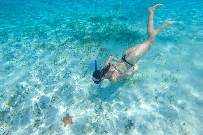 Cozumel Catamaran Snorkeling Tour & lunch - El Cielo Bay: starfish territory, but with reef rules that matter