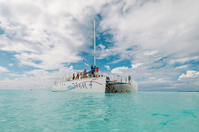 Cozumel Catamaran Snorkeling Tour & lunch - Price reality check: $90 plus a $13 marine park fee