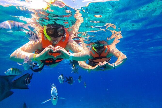 Cozumel Catamaran Tour: Snorkel at Top Reefs & Open Bar - Palancar Reef: A Classic Cozumel Name and a Turtle-Friendly Mission
