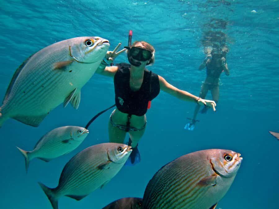 Cozumel: Chankanaab Park Admission+ Snorkel+ Welcome drink - Key points to know before you go