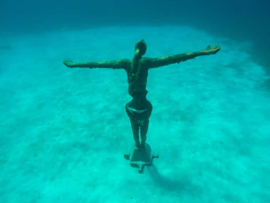 Cozumel: Chankanaab Park Admission+ Snorkel+ Welcome drink - Sea Lion Show, Beach Comforts, and Kids’ Play Area